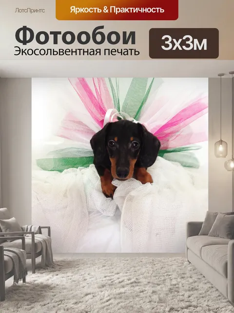 Фотообои Такса мечты