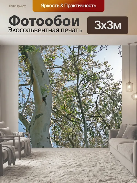Фотообои белая ветка эвкалипта