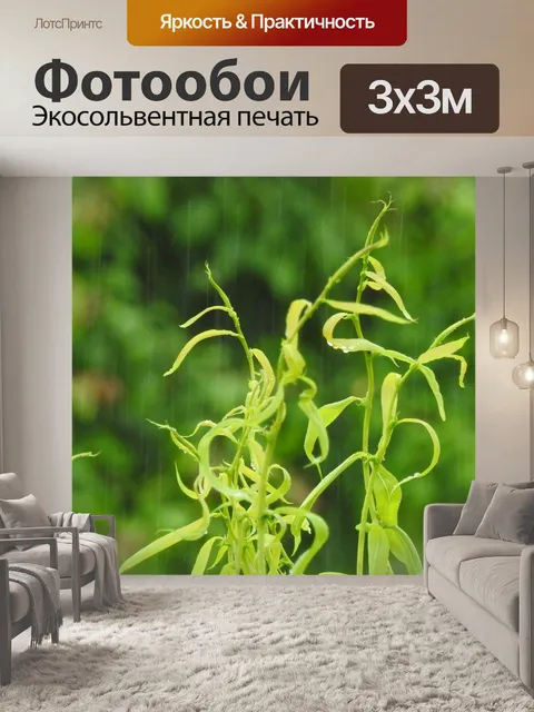 Фотообои Ливень