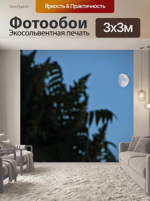 Фотообои Луна
