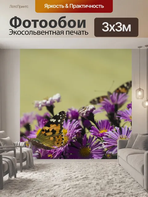 Фотообои Бабочка
