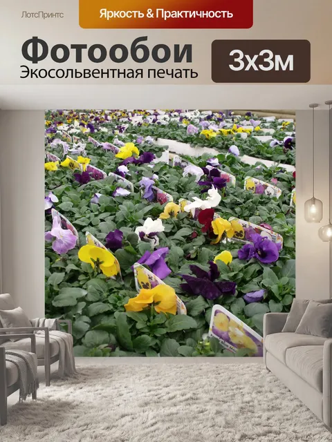 Фотообои Французские бархатцы