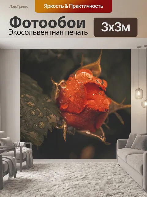 Фотообои Роза