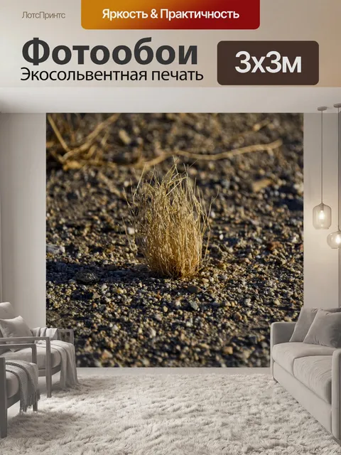 Фотообои Детский пустынный завод