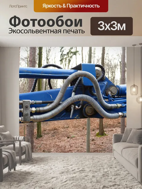 Фотообои Лес