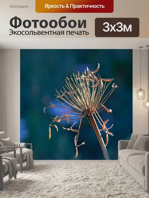 Фотообои сухая и увядшая цветочная голова