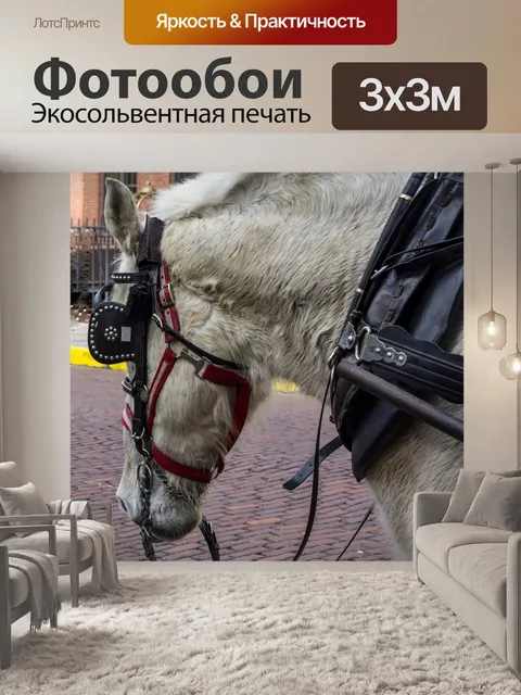 Фотообои белая лошадь
