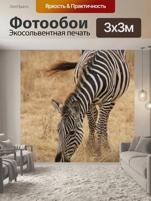 Фотообои Зебра