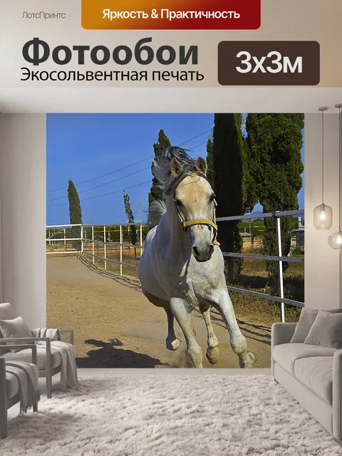 Фотообои Белая лошадь