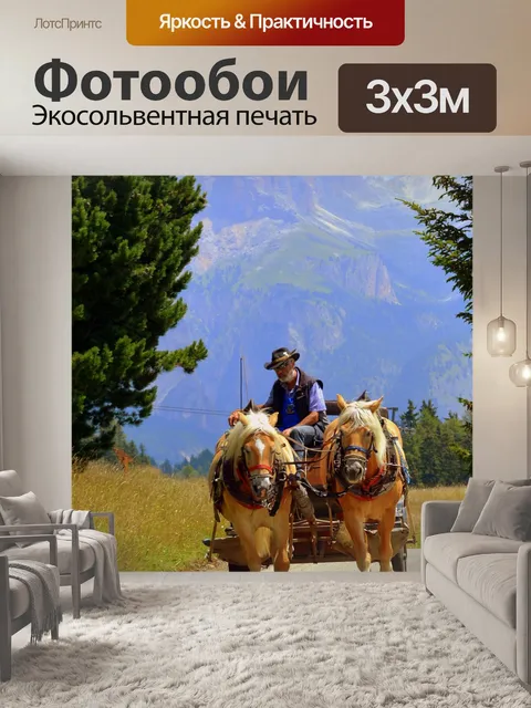 Фотообои Лошадь