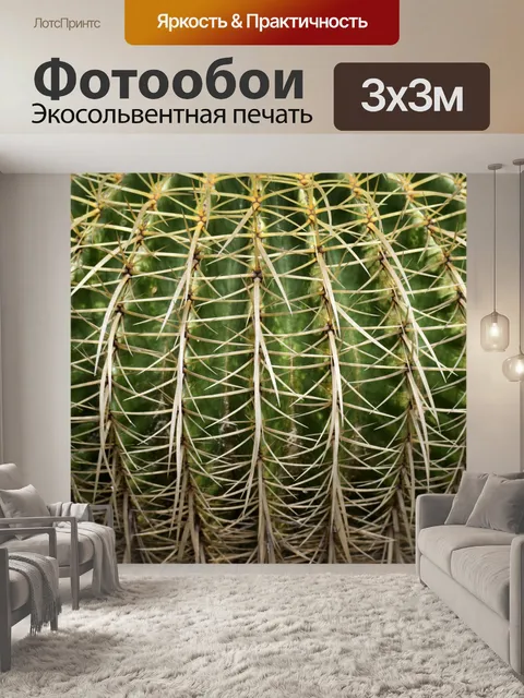 Фотообои Большая Золотая бочка кактуса
