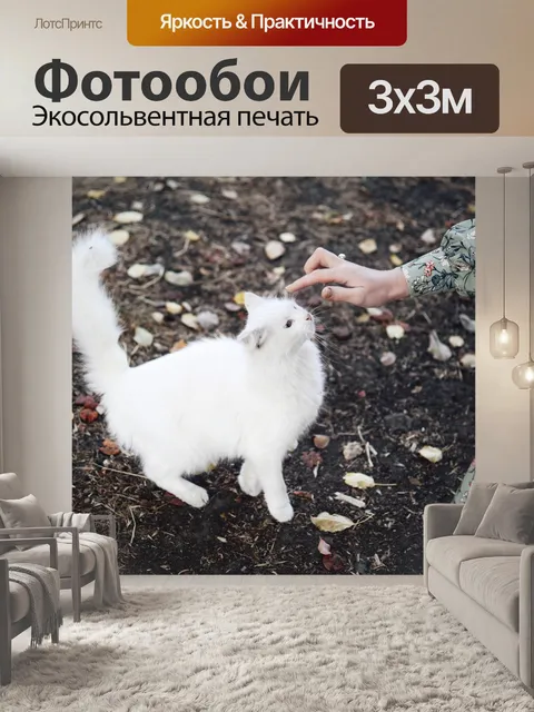Фотообои Белый кот