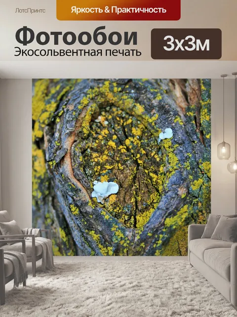 Фотообои лаять с лишайником и мхом