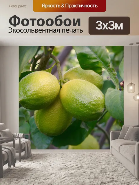 Фотообои Лимон