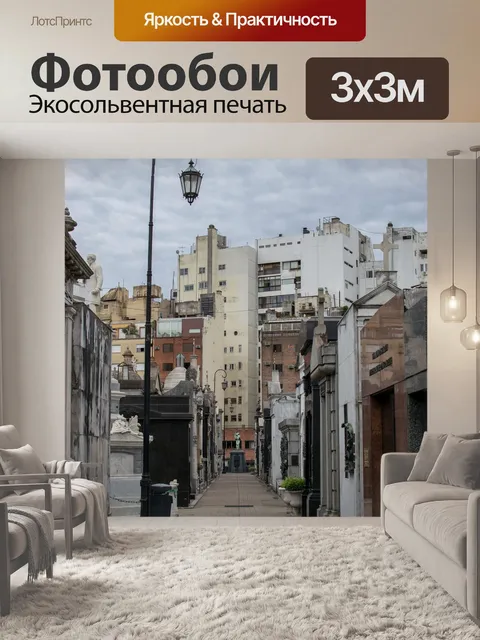 Фотообои Буэнос айрес