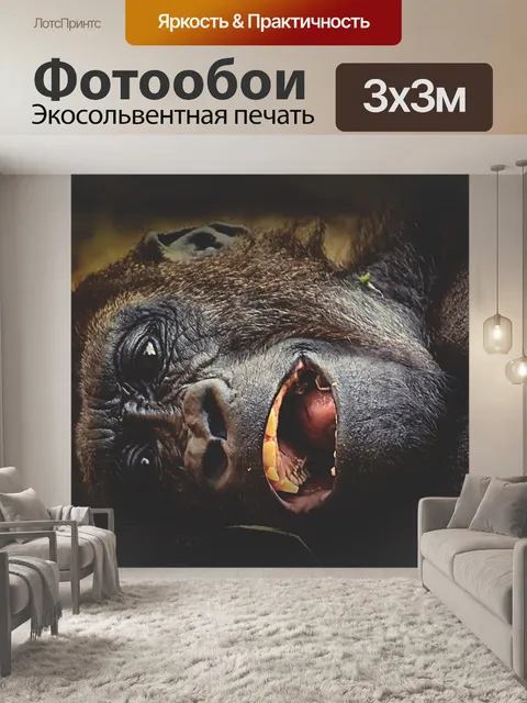 Фотообои Горилла