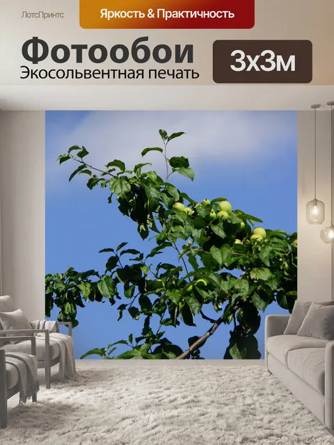 Фотообои Яблоня