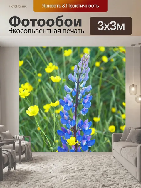Фотообои Люпин