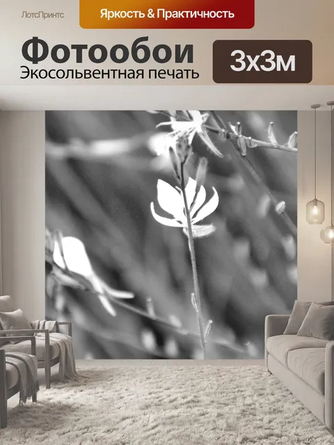 Фотообои Черно-белые маленькие полевые цветы