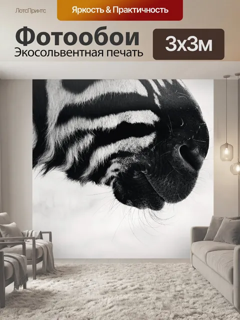 Фотообои Зебра