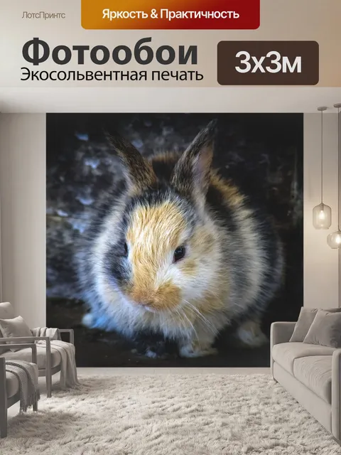 Фотообои Кролик