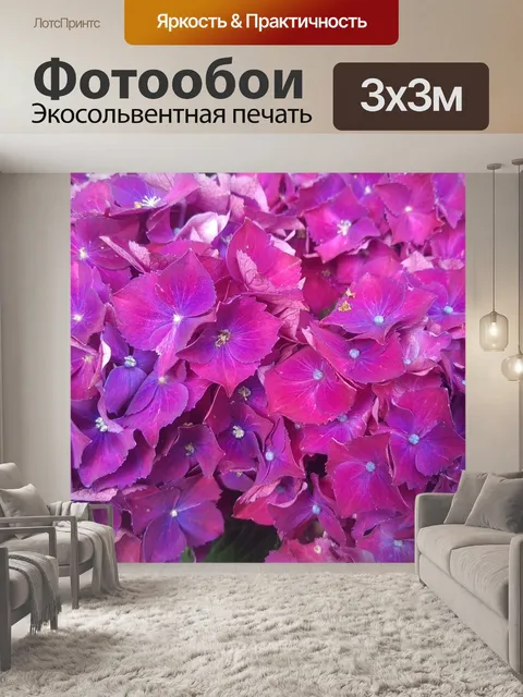 Фотообои Гортензии