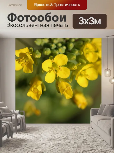 Фотообои вид на желтые соцветия бок-чой