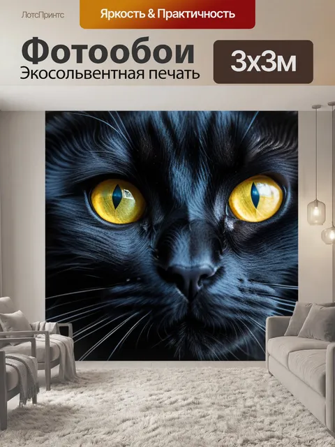 Фотообои с черным котом
