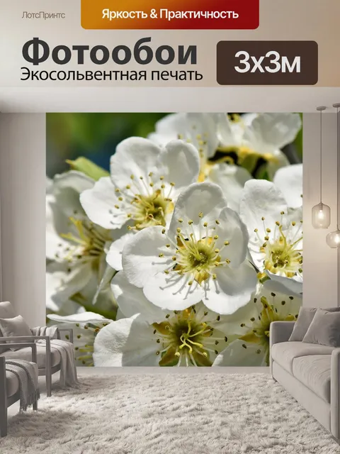 Фотообои Цветение яблони
