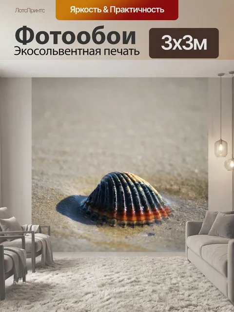 Фотообои Морская ракушка