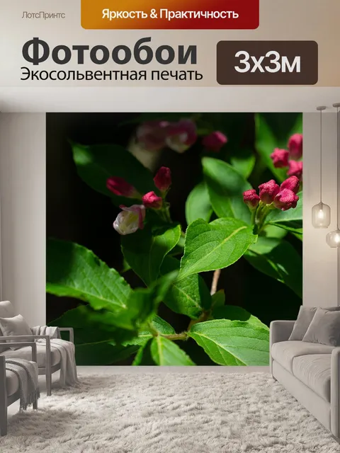 Фотообои Расцветает