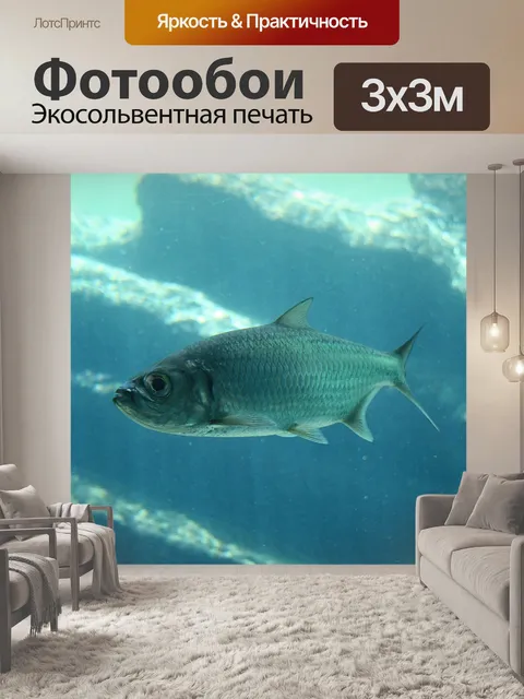 Фотообои блестящая рыба в аквариуме