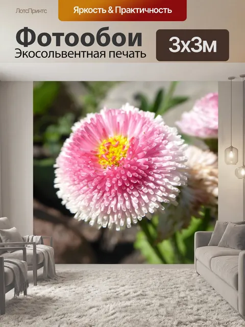 Фотообои Дейзи