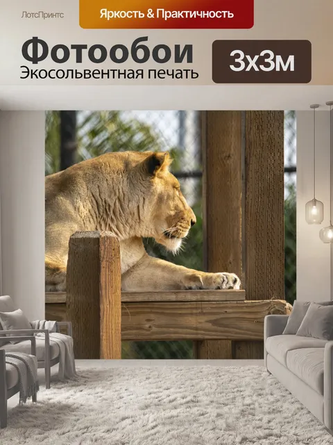 Фотообои Лев