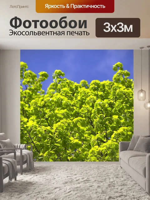 Фотообои Дерево