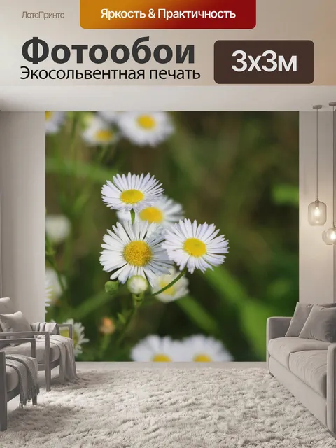 Фотообои Полевые цветы