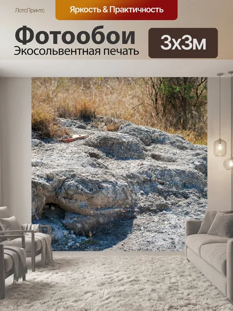 Фотообои твердая минерализованная почва