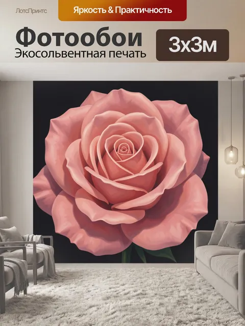 Фотообои Розовая цветущая роза