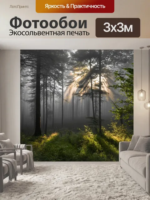 Фотообои панорама утреннего тумана над лесом