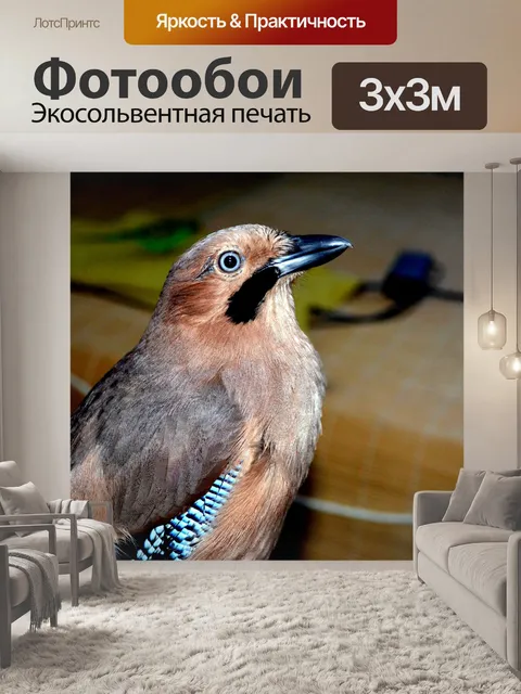 Фотообои Зимородок