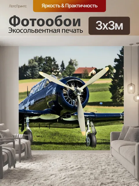 Фотообои Винтовой самолет