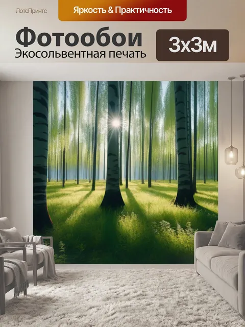 Фотообои березовая роща с солнечными лучами