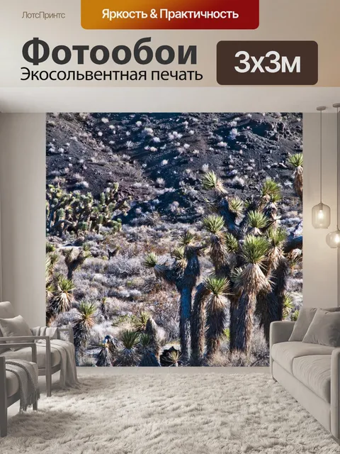 Фотообои Деревья Джошуа кактусы
