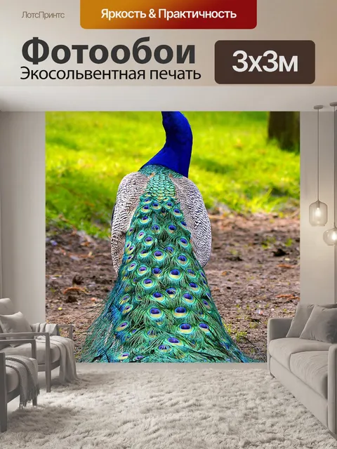 Фотообои Павлин
