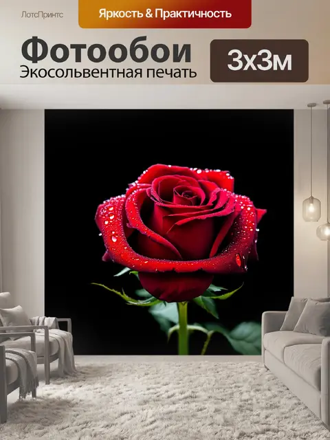 Фотообои темный фон, красная роза в каплях росы, блестящая в мерцающем свете