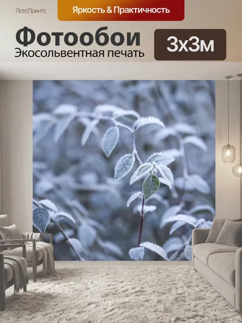 Фотообои Морозные зимние листья
