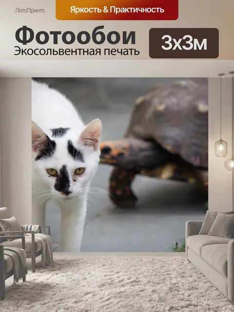 Фотообои Гато