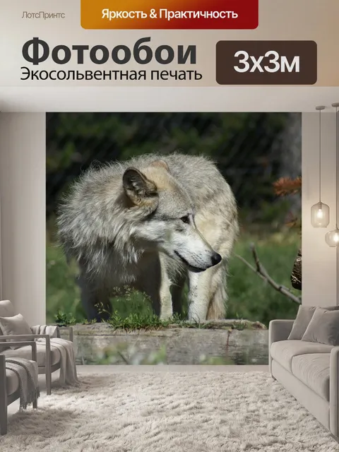 Фотообои Волк