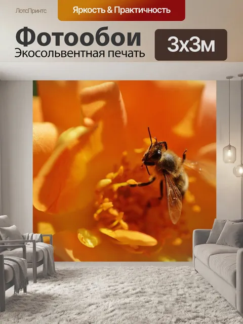 Фотообои Пчела