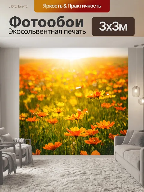 Фотообои утро: прекрасное утро на лугу, где цветы одеваются в россыпи из оранжевых и желтых лепестков под ярким солнцем